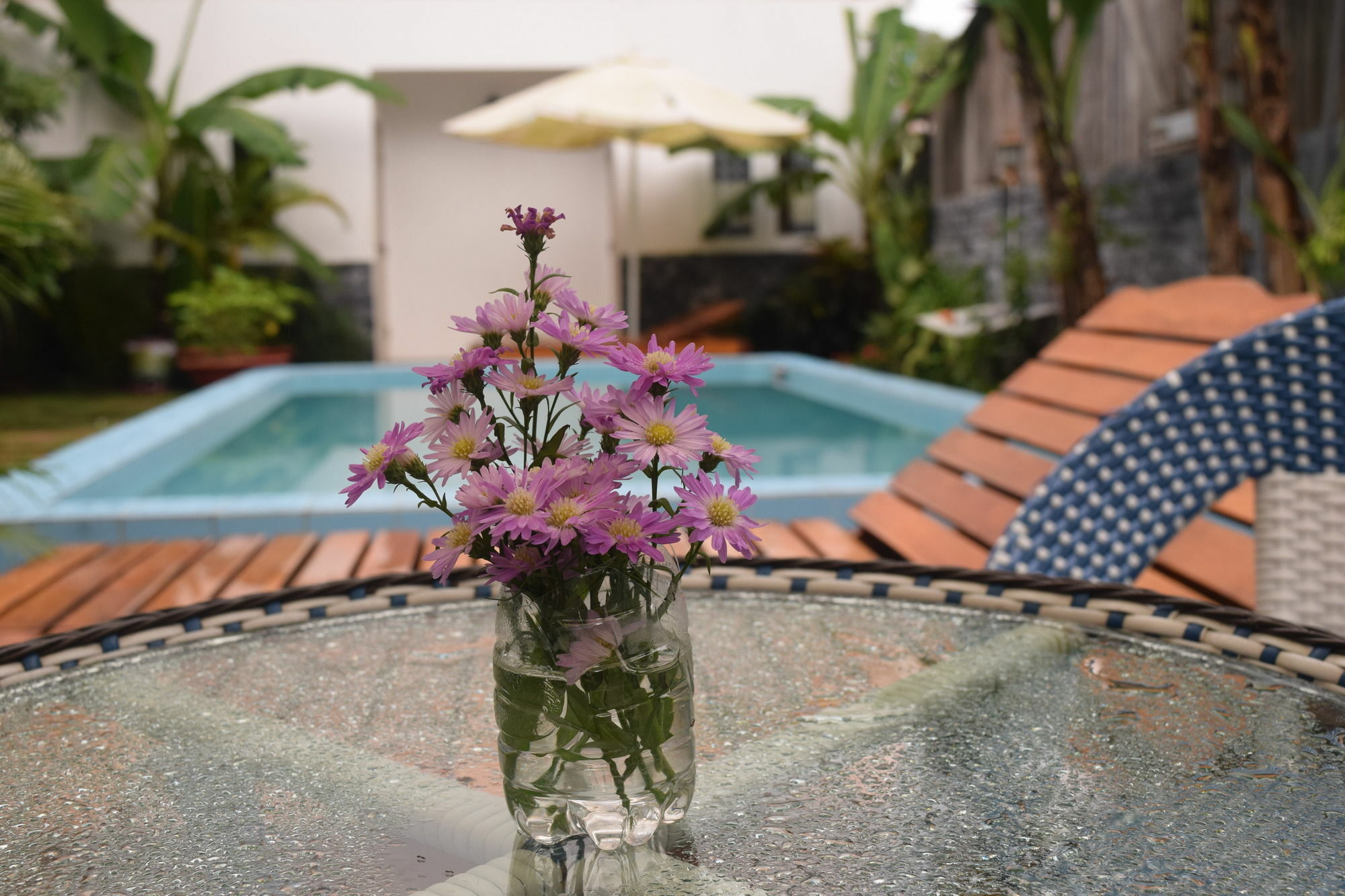 Orchid Guesthouse Duong Dong Exterior foto